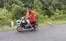 Người đàn ông đi bộ xuyên Việt cùng chú ngỗng: 'Nó là bạn tôi, không phải để bán'