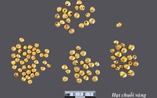 Cư dân Sa Huỳnh 'buôn' vàng Lai Nghi