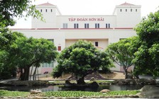 Vụ Tập đoàn Sơn Hải trượt thầu: Giao UBND tỉnh Đồng Nai xử lý, báo cáo Thủ tướng trước 20.7