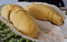 Bộ trưởng Malaysia thúc giục khách sạn 'mở cửa' cho sầu riêng