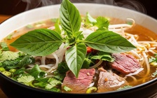 Món rau ăn kèm với phở không ngờ có thể chống ung thư, tiểu đường, mỡ máu