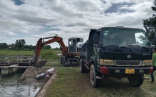 Thu gom xác heo chết bốc mùi hôi thối, chính quyền gửi thư xin lỗi người dân