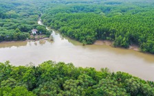 'Cởi trói' mua bán tín chỉ carbon rừng