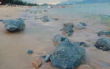 'Rừng' đá chẻ bỗng nhiên xuất hiện trên bãi biển Bình Sơn - Ninh Chữ