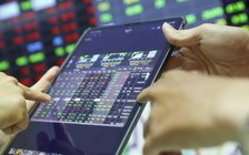 95% nhà đầu tư thua lỗ, rời thị trường chứng khoán sau 2 năm