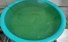 Người dân bức xúc vì nước máy đen kịt