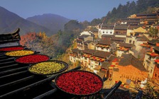 Ngôi làng trên núi ở Việt Nam vào top đẹp nhất châu Á