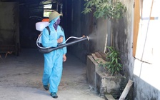 Xuất hiện ổ dịch sốt xuất huyết đầu tiên tại Hà Tĩnh