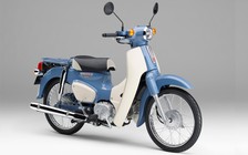 Honda Super Cub 50 phiên bản cuối cùng rục rịch gia nhập thị trường Việt Nam