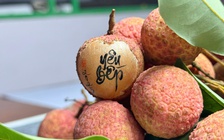 Độc đáo thư pháp siêu mini trên quả vải