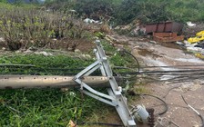 Lâm Đồng: Mưa lớn kèm gió giật kéo dài gây thiệt hại nặng