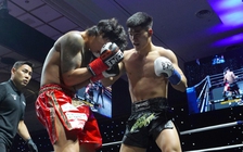 Bị khiêu khích, võ sĩ Việt Nam tung 'mưa đòn' hạ đo ván chóng vánh cao thủ Hàn Quốc