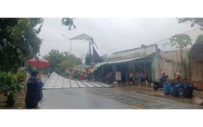 Đồng Nai: Hơn 26.000 khách hàng mất điện sau cơn mưa to kèm gió lớn