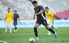 Nhiệm vụ khó của 'những chú hổ Malay'