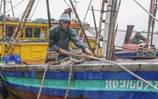 Hàng trăm tàu cá Ninh Bình về bờ tránh bão số 3 (Wipha)