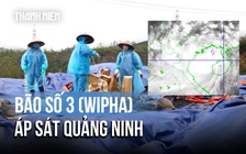 Bão số 3 (Wipha) áp sát Quảng Ninh, gió giật cấp 13