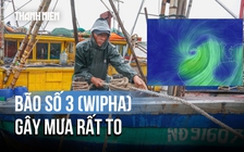Bão số 3 (Wipha) gây mưa rất to, cảnh báo lũ quét, sạt lở và ngập lụt
