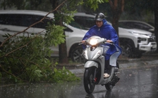 Bão số 3 (Wipha): Hà Nội và 5 tỉnh trong vùng trọng tâm mưa lớn 600 mm