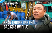 Khẩn trương ứng phó bão số 3 (Wipha) từ kinh nghiệm bão Yagi