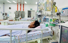 TP.HCM báo động 10 ca tử vong do sốt xuất huyết