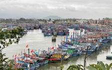 Thủ tướng yêu cầu đẩy mạnh phát triển vận tải đường thủy