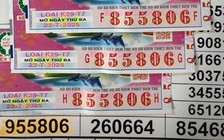 Xổ số miền Nam ngày 22 tháng 7: Khách ở TP.HCM mừng vì bỗng dưng trúng số