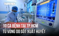 Báo động: 10 ca tử vong do sốt xuất huyết ở TP.HCM