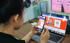 Vì sao hàng loạt shop trên sàn điện tử dừng kinh doanh?