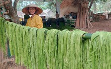 Từ ruộng đồng đến sàn diễn thời trang