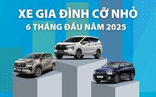 Xe gia đình cỡ nhỏ: Xe Nhật chiếm hơn 81% thị phần nửa đầu năm 2025