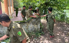 TP.HCM: Cháy phòng ngủ, 2 sinh viên tử vong