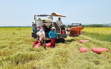 Không để người dân vùng tây Gia Lai nghèo trên đất giàu