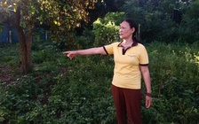 Từ vụ 300 m2 đất đóng thuế gần 4,5 tỉ: Các bộ chức năng gỡ khó thế nào?