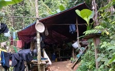 Quân đội sẽ vào cuộc đánh sập hầm lò khai thác vàng trái phép ở Vĩnh Ô