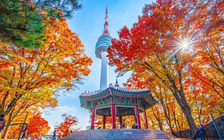 Cuộc thi viết cảm nhận văn học Hàn Quốc bằng tiếng Việt