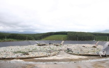 Sự cố môi trường ở Quảng Ngãi: 8 hộ dân thiệt hại 1,8 tỉ đồng