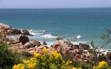 Viên ngọc sinh thái biển Lâm Đồng: 'Cô gái đẹp ngủ quên' chưa được đánh thức