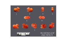 Độc lạ bảo vật quốc gia: Sành trang sức mã não như người Lai Nghi