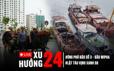 Xu Hướng 24: Tạm dừng tìm kiếm nạn nhân vụ lật tàu ở Hạ Long | Miền Bắc tất bật chống bão số 3