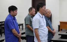 Đất rừng Sóc Sơn bị 'xẻ thịt' suốt 10 năm, cựu lãnh đạo xã bị án tù