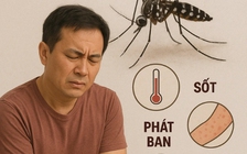 WHO khuyến cáo về nguy cơ bệnh chikungunya với Việt Nam