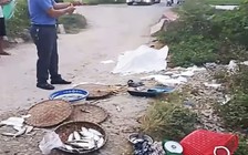 Người phụ nữ bán cá bị tàu tông tử vong khi băng qua đường sắt