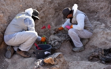 Iraq khai quật mộ tập thể 4.000 người bị IS hành quyết