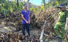 Chặt phá vườn cà phê của người mẹ đơn thân, gã đàn ông lĩnh án