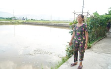 Đồng ruộng ngập nước vì cống thoát lũ bị chặn