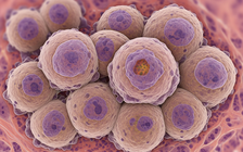 Vắc xin 'chống mọi loại ung thư': Thử nghiệm cho kết quả đáng kinh ngạc!