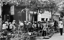 Từ hợp tác xã đến hàng triệu doanh nghiệp Việt