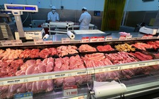 Giá heo hơi hôm nay 22.8.2025: Kéo dài đà giảm