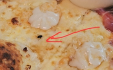 Khách tố pizza có ruồi, nhà hàng gắp bỏ hâm nóng 'diệt vi trùng' bán tiếp