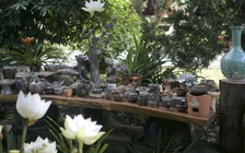 Vu lan 2025: Đi chùa xem triển lãm gốm rằm tháng 7 âm lịch